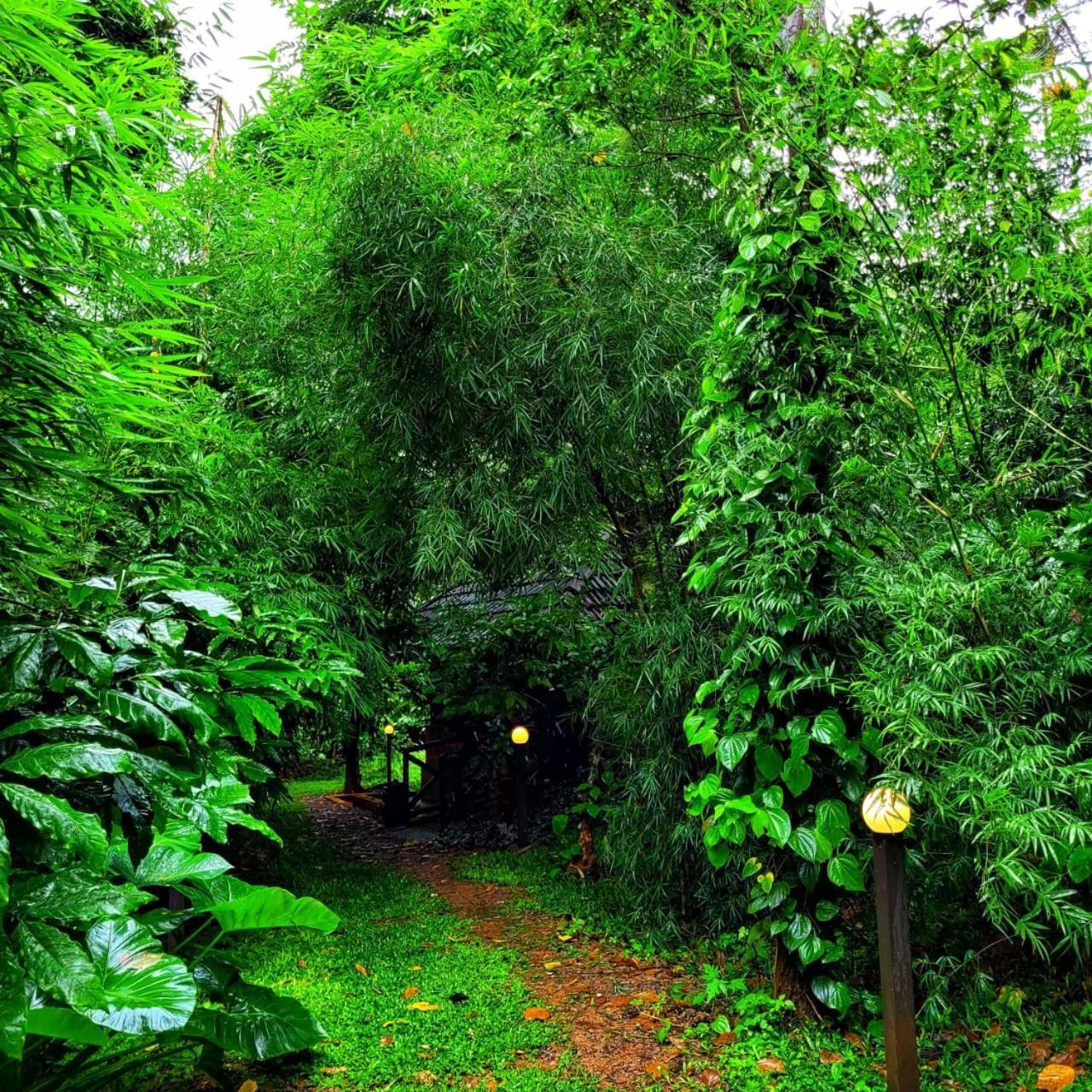 Greens Tree House & Wood House Sultan Bathery Exterior foto