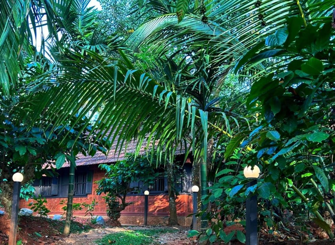 Greens Tree House & Wood House Sultan Bathery Exterior foto