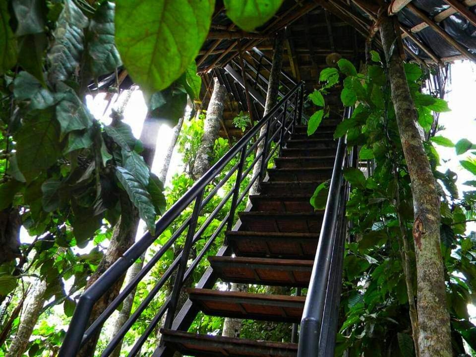 Greens Tree House & Wood House Sultan Bathery Exterior foto