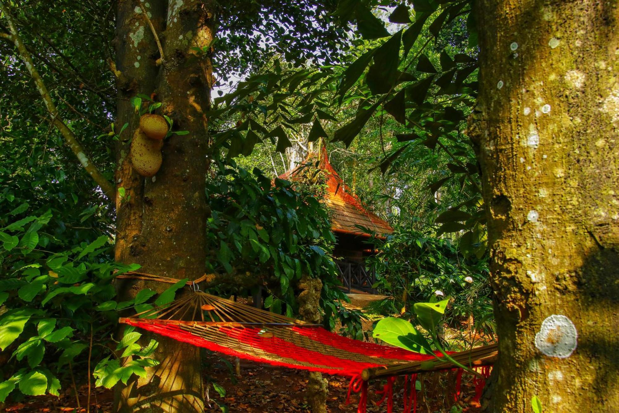 Greens Tree House & Wood House Sultan Bathery Exterior foto