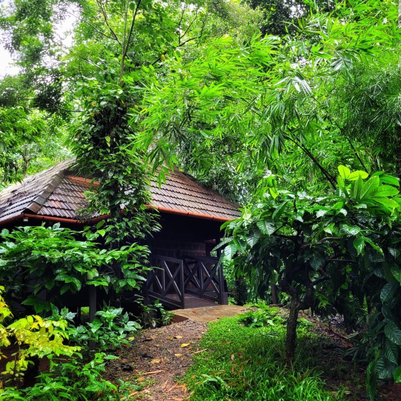 Greens Tree House & Wood House Sultan Bathery Exterior foto