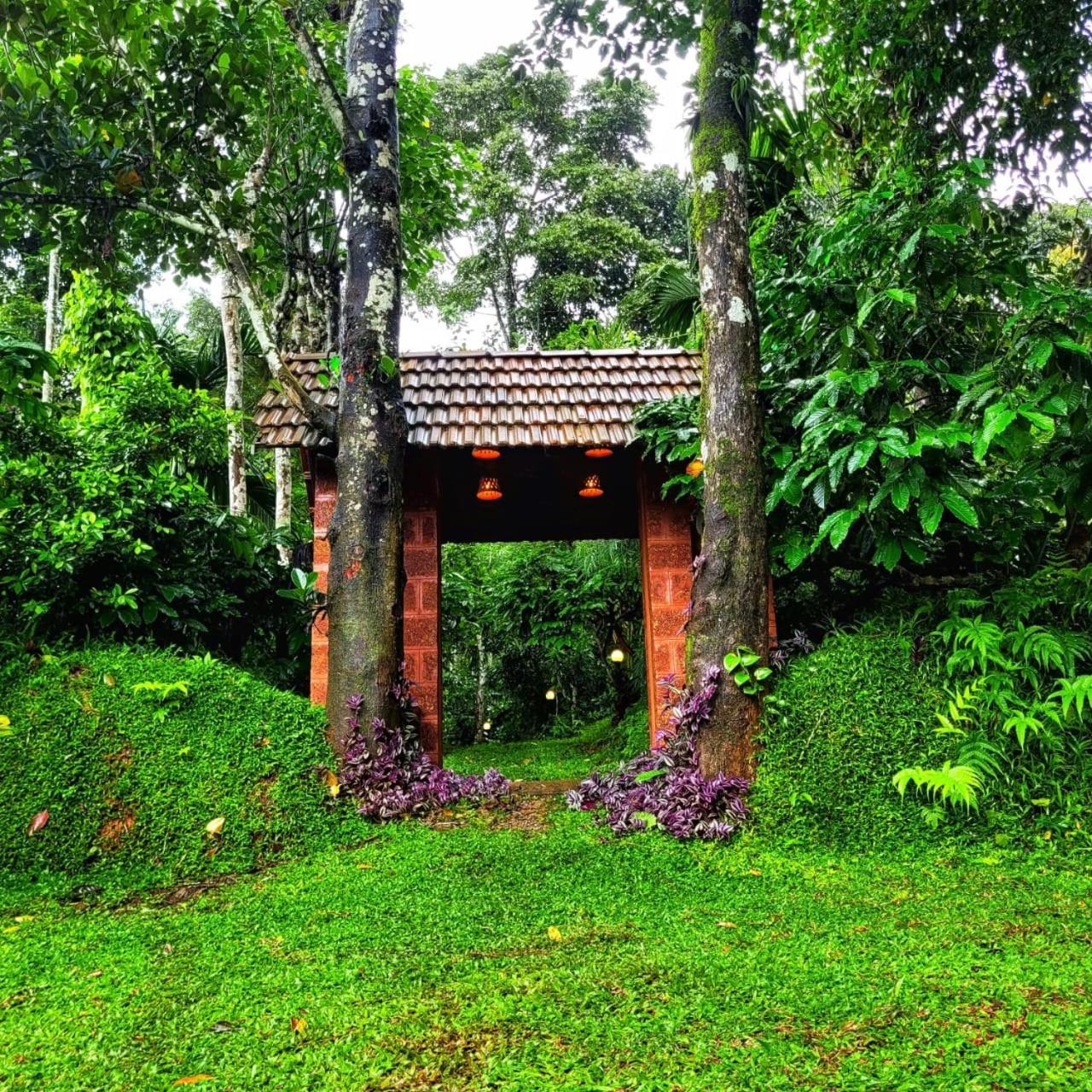 Greens Tree House & Wood House Sultan Bathery Exterior foto