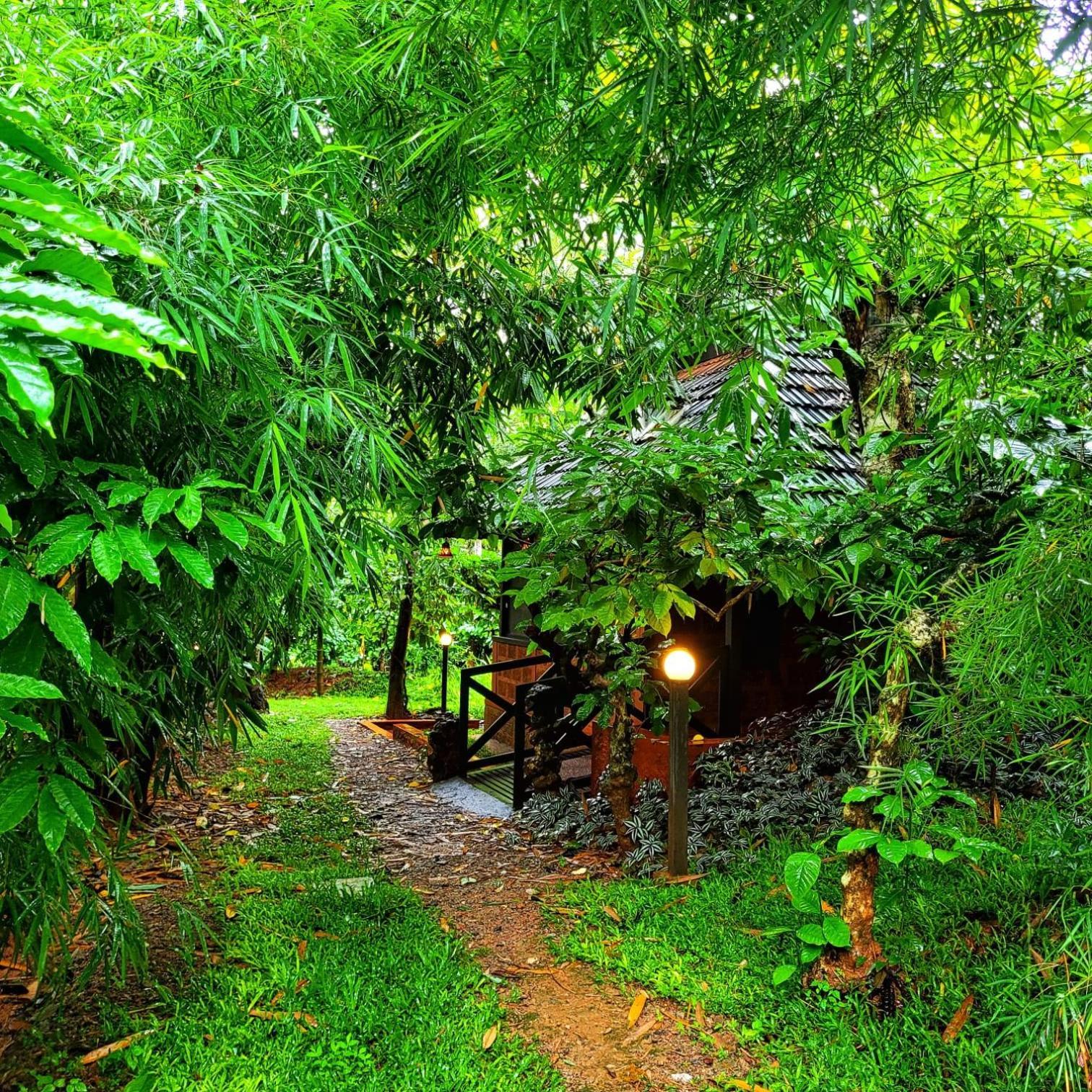 Greens Tree House & Wood House Sultan Bathery Exterior foto