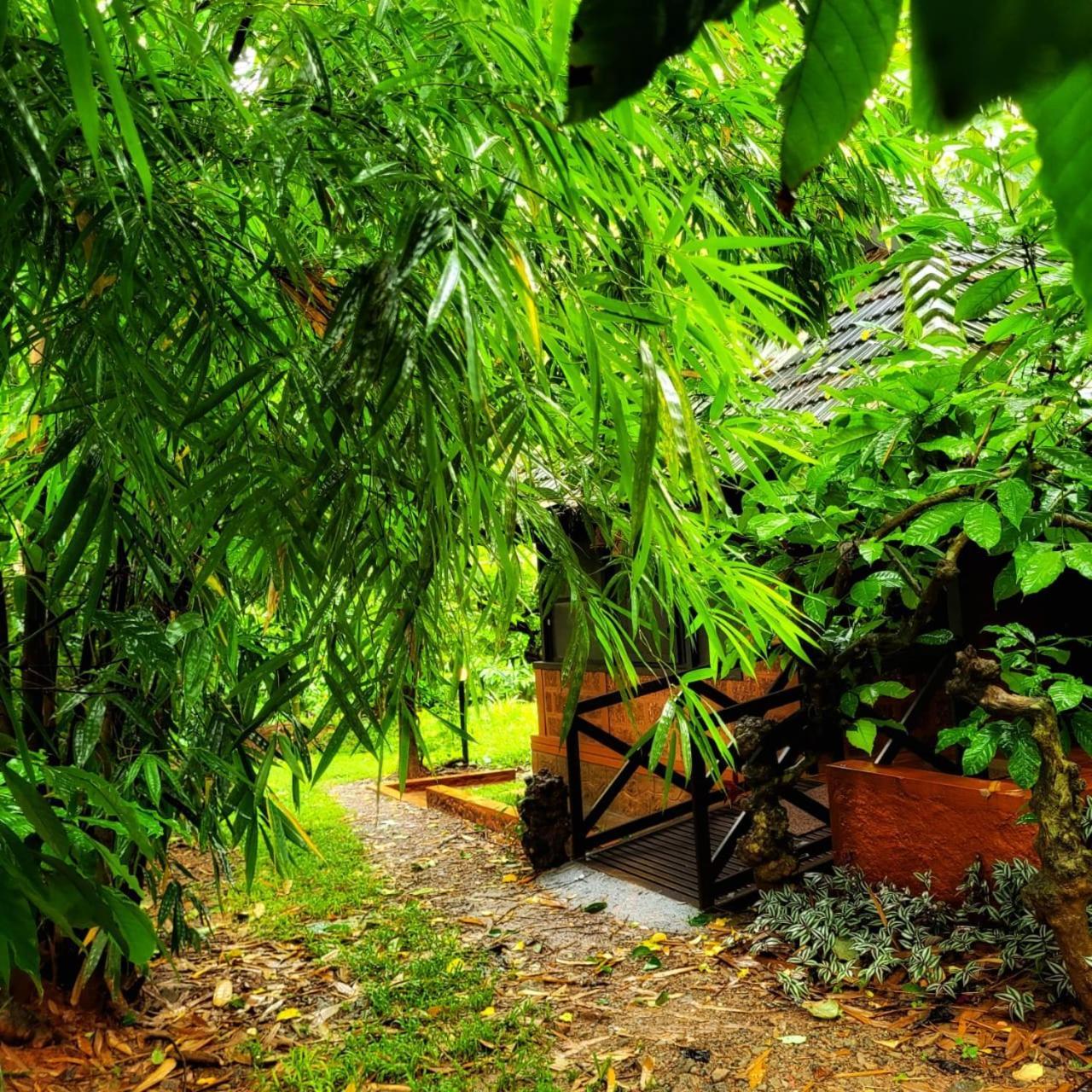 Greens Tree House & Wood House Sultan Bathery Exterior foto
