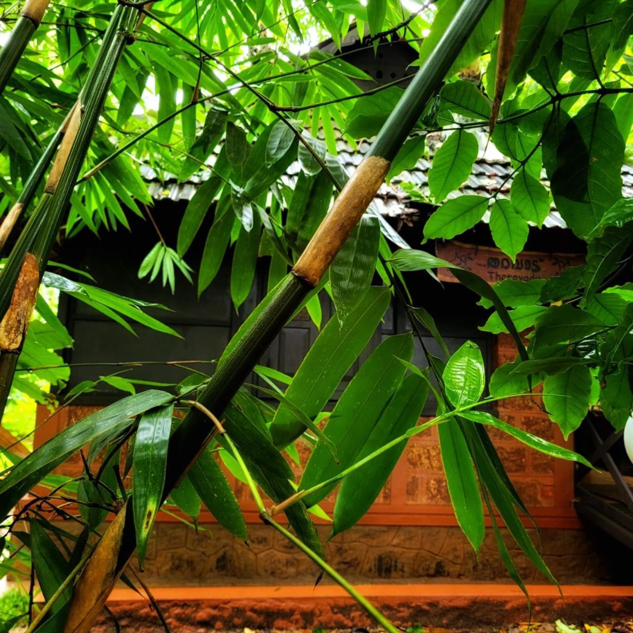 Greens Tree House & Wood House Sultan Bathery Exterior foto